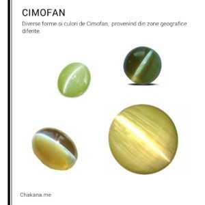 Cimofan Cimofan