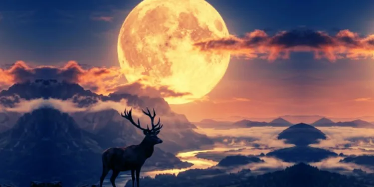Luna Cerbului (Luna Plină din iulie)