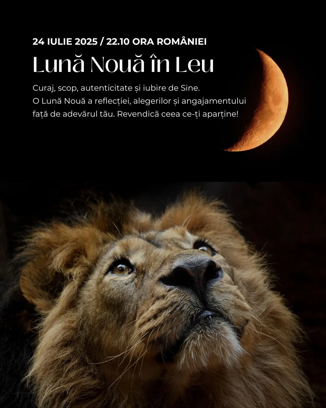 Luna Nouă în Leu (24 iulie 2025)