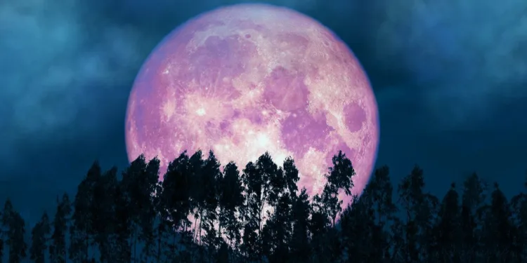 Luna Plină din iunie / Luna Căpșună / Lună Plină în Capricorn