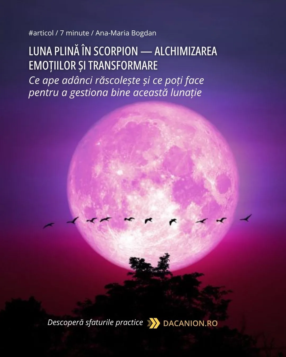 lun-plina-scorpion