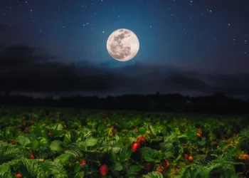 Luna Căpșunilor sau Luna Plină din iunie