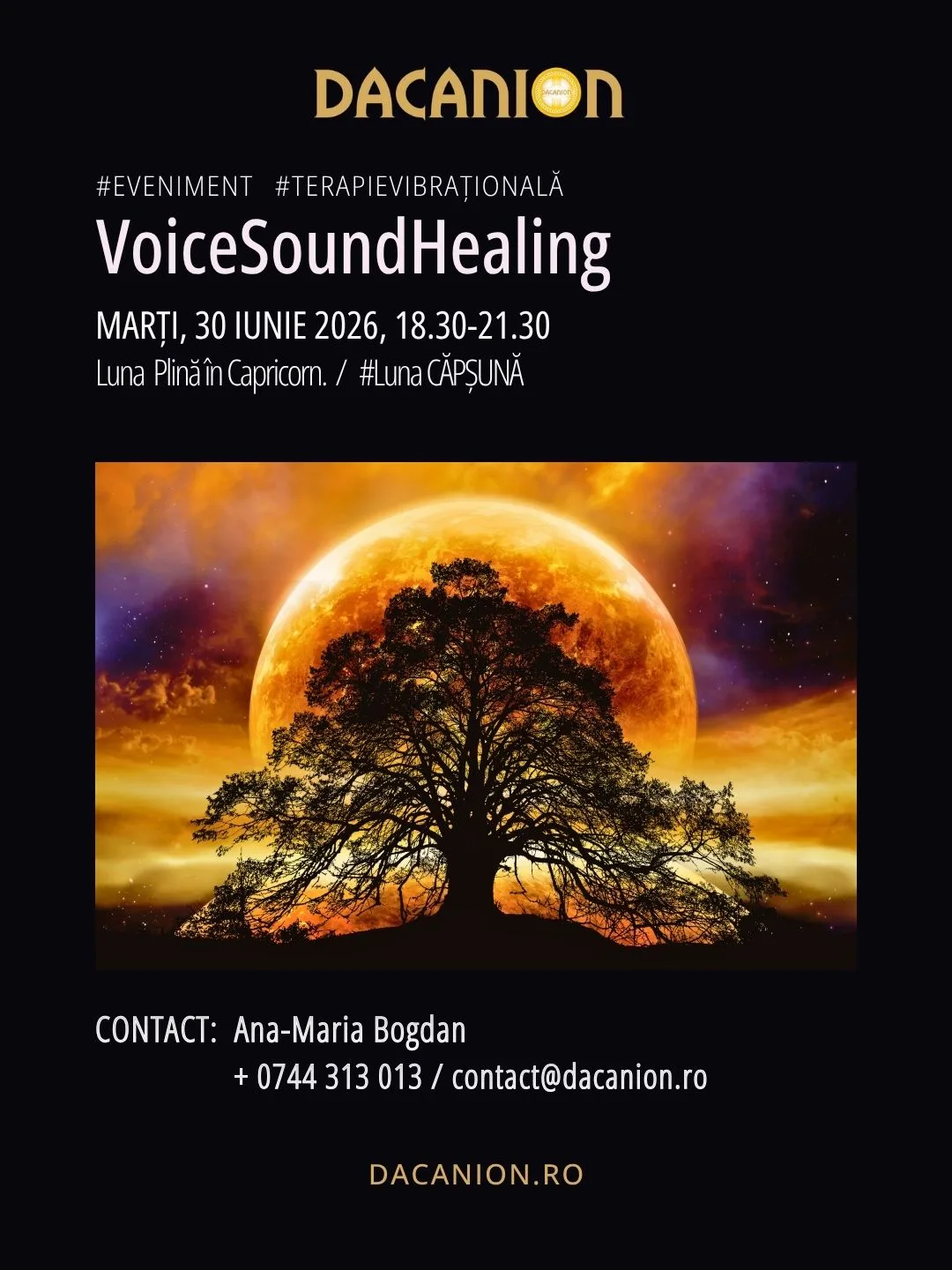 Voice-Sound-Healing-sesiune-grup-31-mai