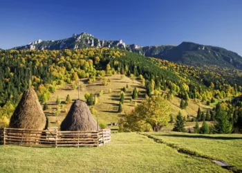 Luna August – Sărbători, simboluri și tradiții