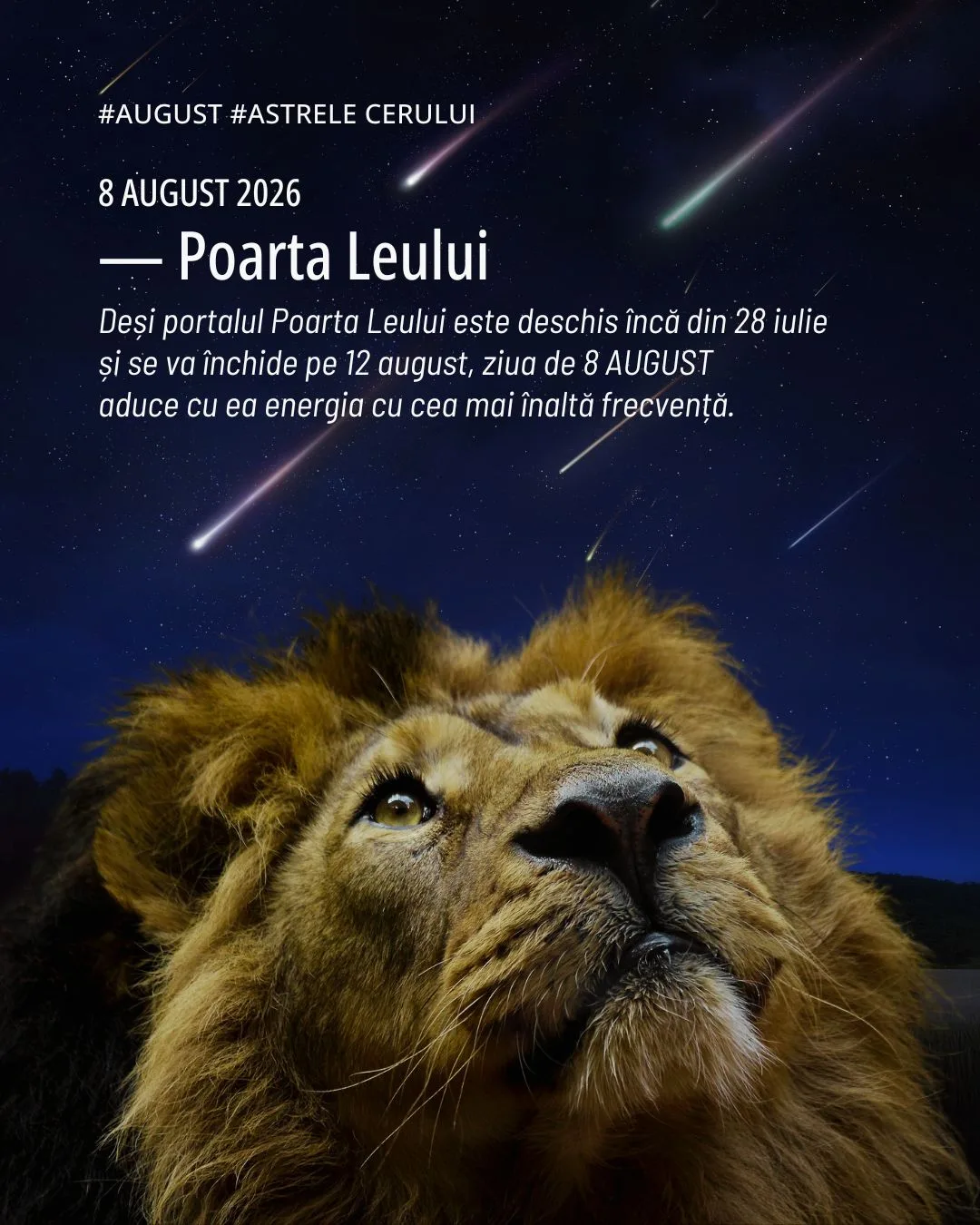 portalul-Poarta-Leului