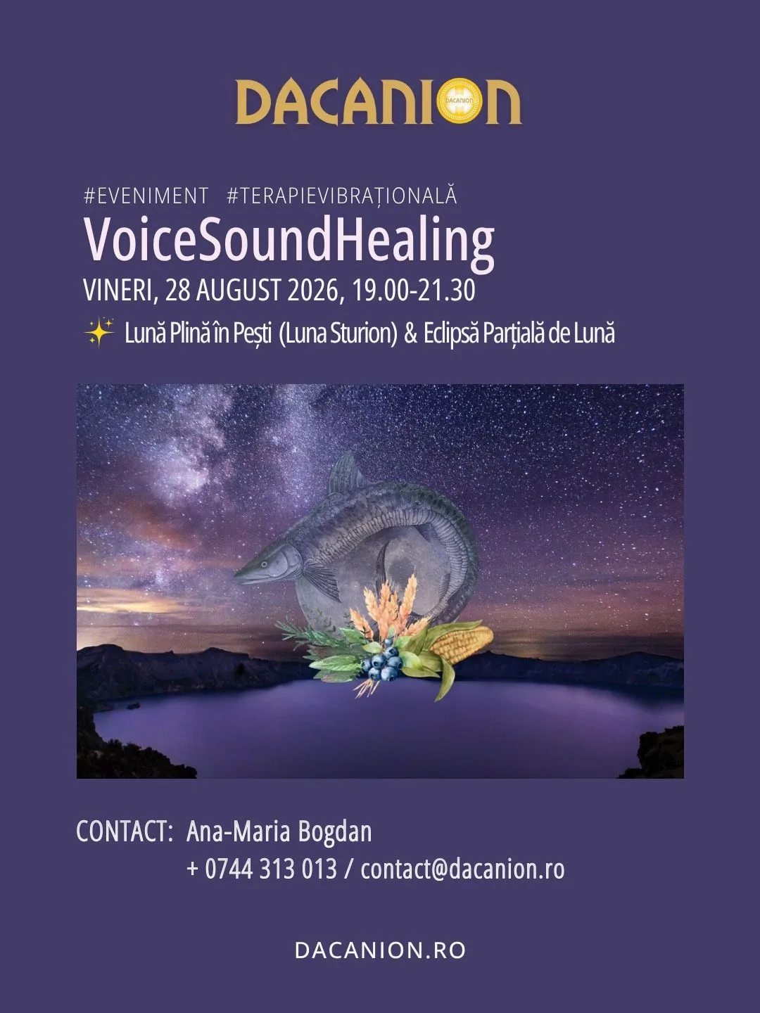 Voice-Sound-Healing-sesiune-grup-28-august